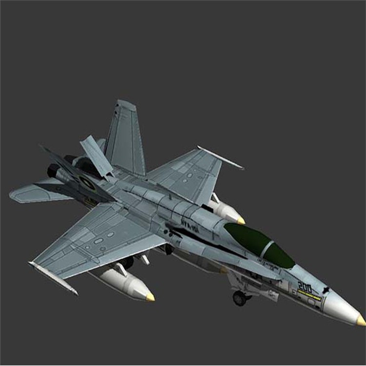 柳州3D舰载战斗机模型